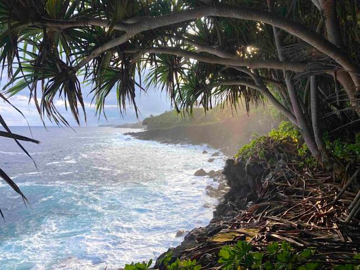 Seaside House And Aloha Bungalow Pahoa Dış mekan fotoğraf