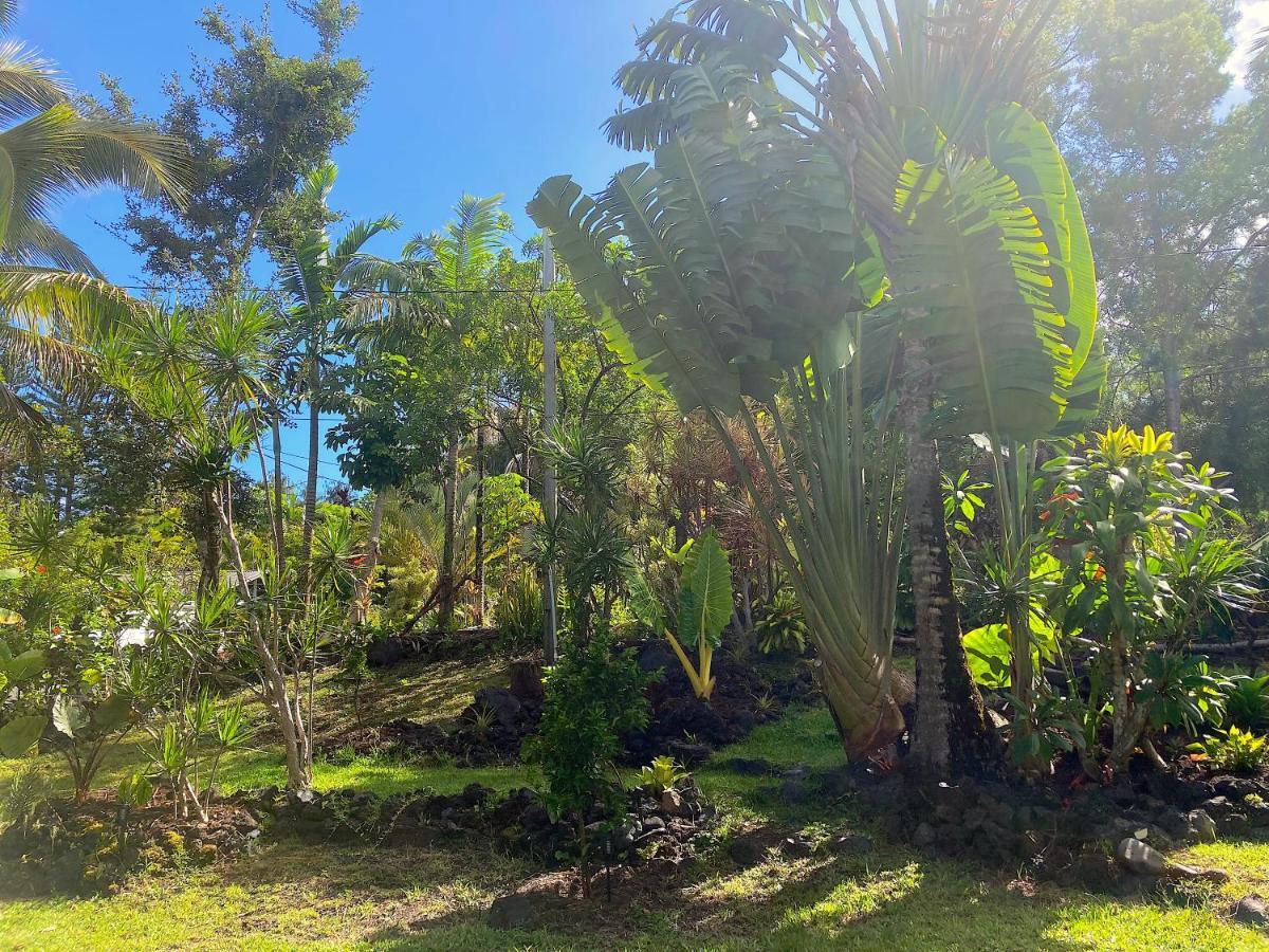 Seaside House And Aloha Bungalow Pahoa Dış mekan fotoğraf