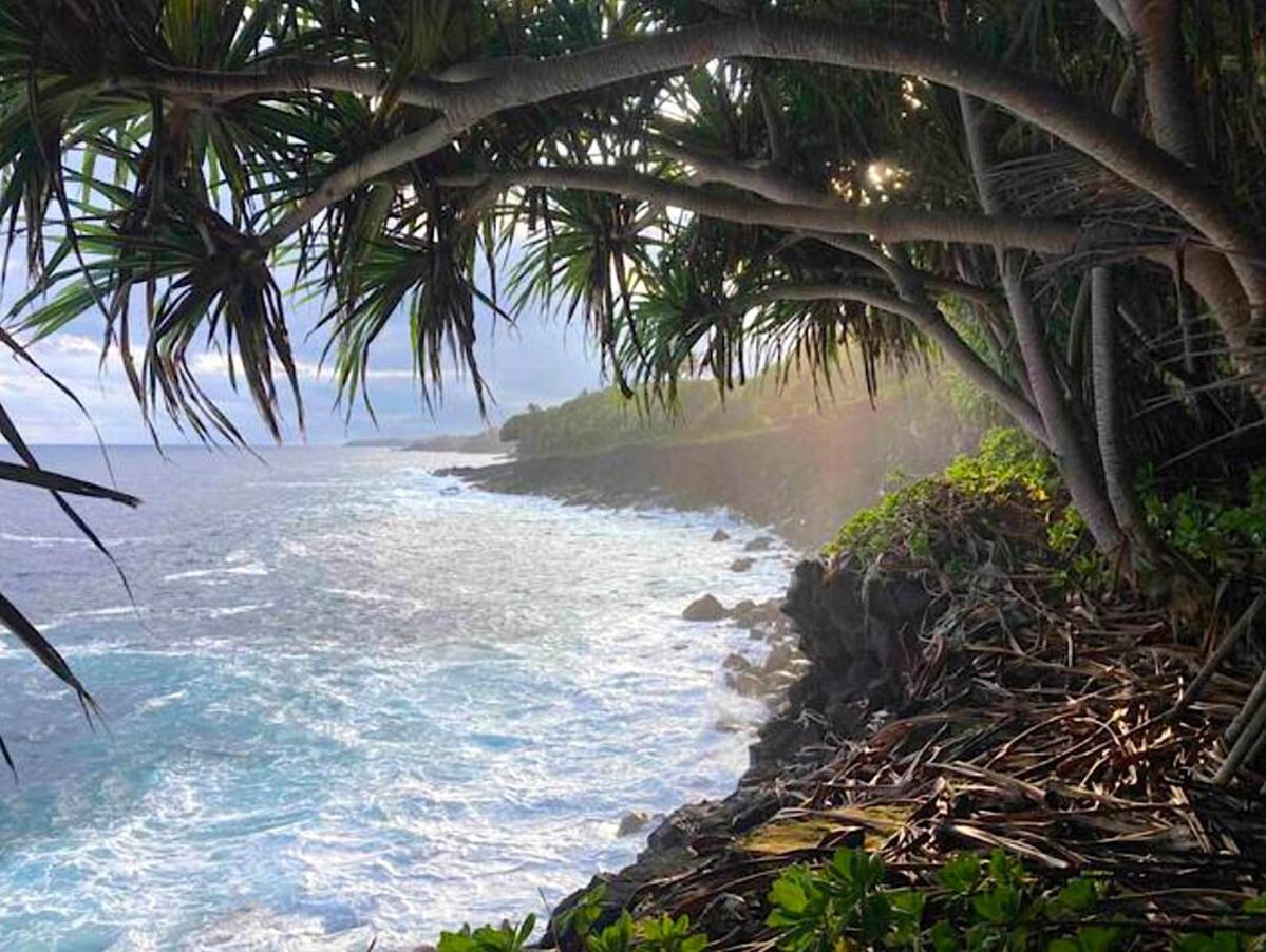 Seaside House And Aloha Bungalow Pahoa Dış mekan fotoğraf